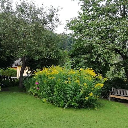 Haus Meissnitzer Taxenbach Exteriör bild